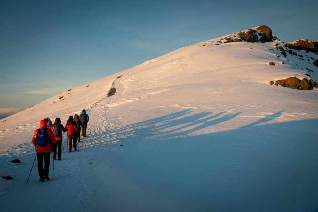 Lemosho Route Kilimanjaro Climb