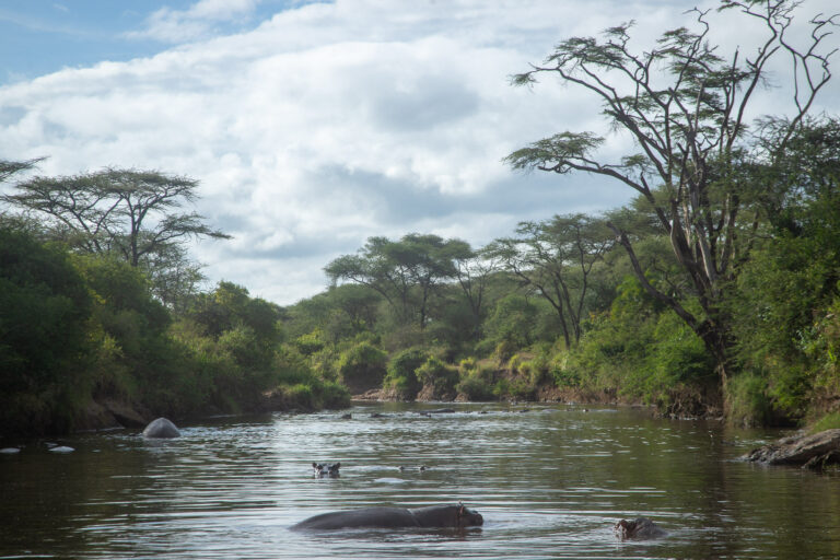 3-Day Serengeti Express Safari