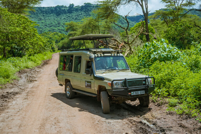 Lake Manyara National Park Tanzania