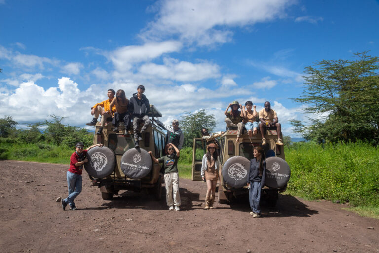 5-Day Mid-Range Northern Circuit Safari