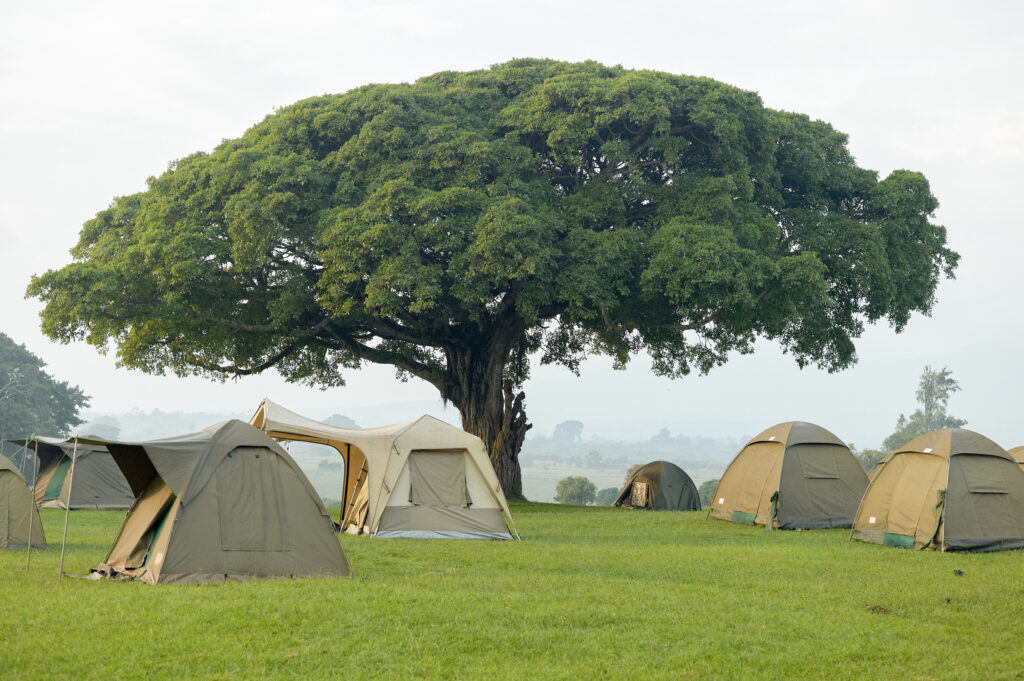 4-Day Budget Camping Northern Circuit Safari