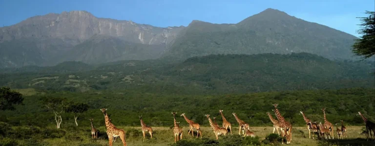 Arusha National Park Tanzania