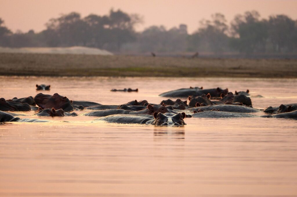 6-Day Budget Camping Northern Circuit Safari