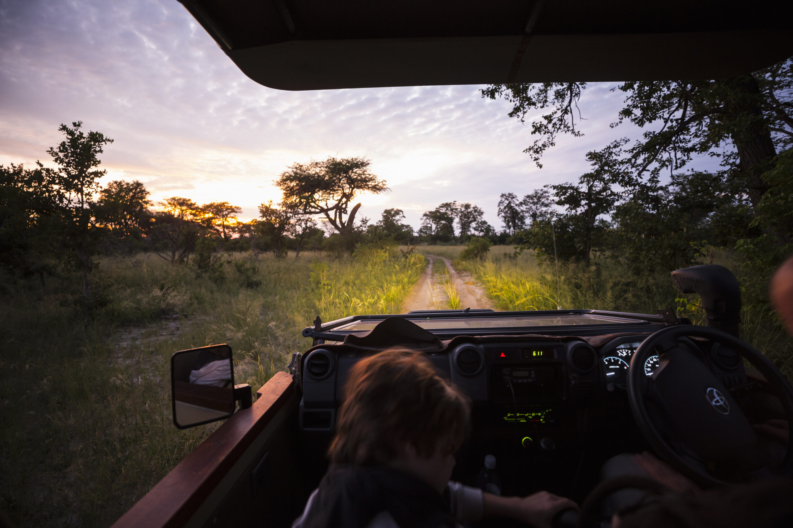 Safari Experiences