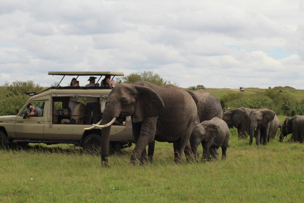 4-Day Mid-Range Tarangire, Serengeti & Ngorongoro
