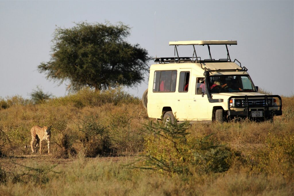 7-Day Budget Joining Northern Circuit & Zanzibar